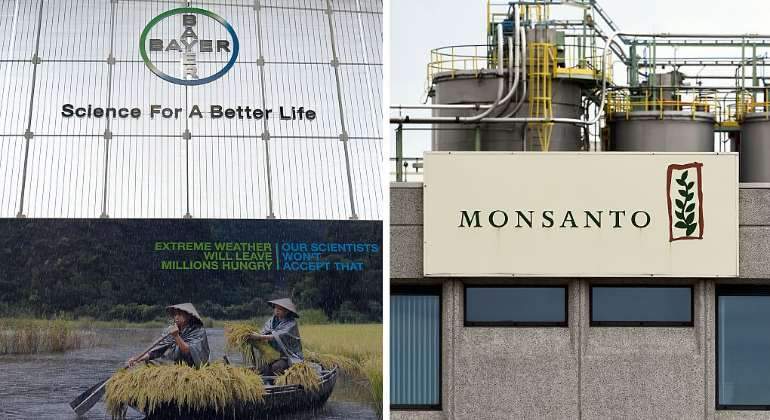 ¿Qué Significará Para El Mundo La Fusión Bayer-Monsanto?