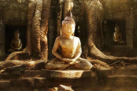 Nominal Brillar Bigote Las 4 Nobles Verdades del Buda (la esencia de sus enseñanzas)