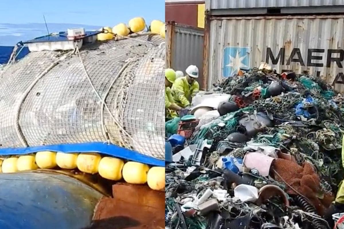 Organización consigue remover 100 000 kg de plástico de la gran isla de  basura del océano Pacífico (VIDEO)