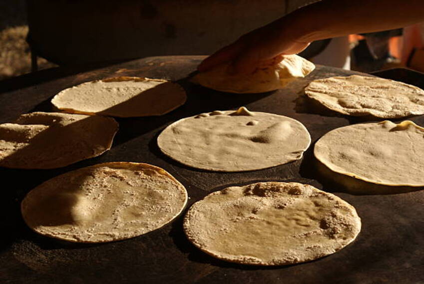 Tortilla con denominación de origen el proyecto de ley para salvaguardar el maíz mexicano