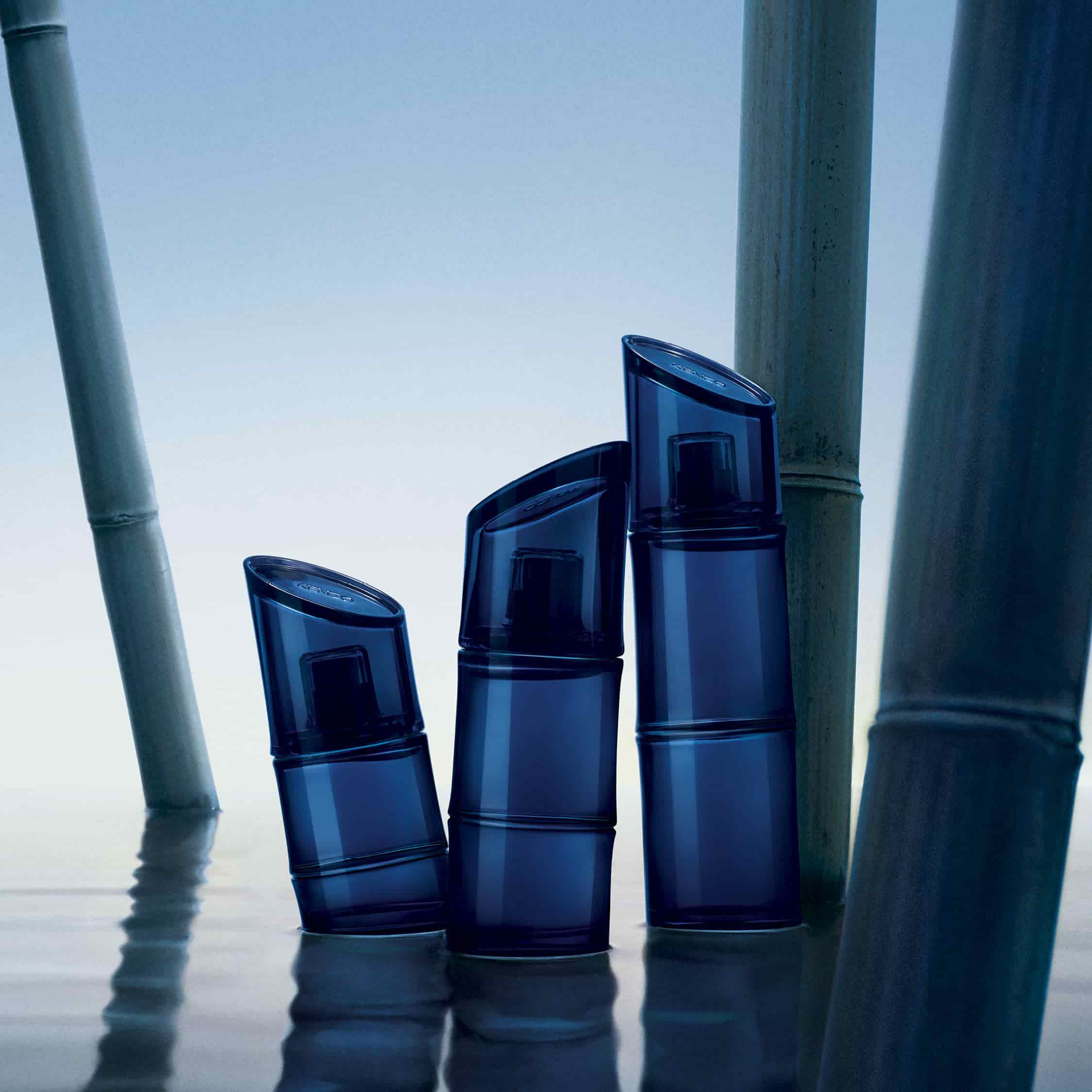 kenzo significado quimico