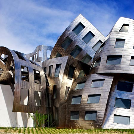 dentro de los edificios frank gehry