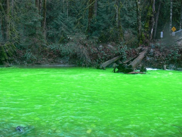 Compuesto químico vuelve verde fluorescente un río en Canadá