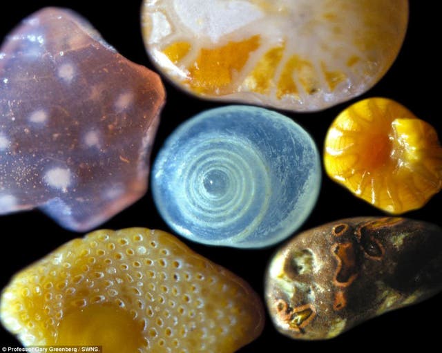 granos de arena vistos en microscopio