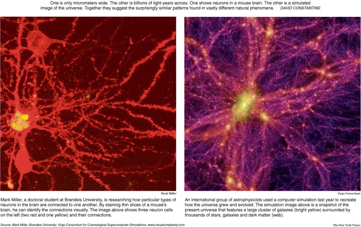 Físicos encuentran evidencia de que el universo se comporta como un cerebro gigante