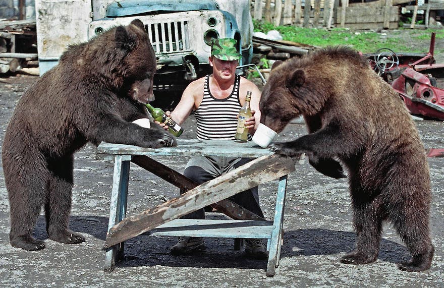 RUSSIA-BEARS DRINK