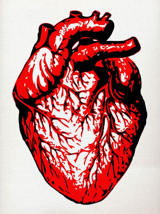 human-heart-painting-iampat