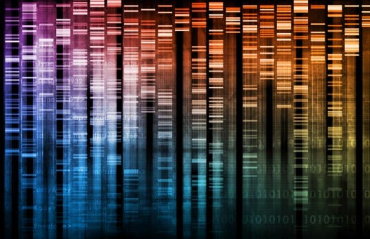 dna-data-library-537x347