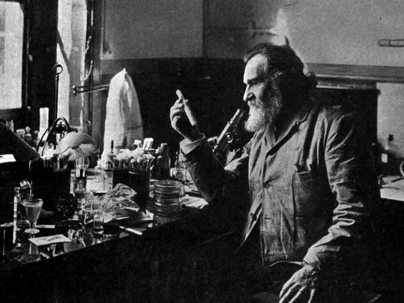 Elie Metchnikoff Aportaciones A La Inmunologia