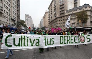 Activistas_piden_al_Estado_uruguayo_no_atrasar_la_legalizaci_n_de_la_marihuana